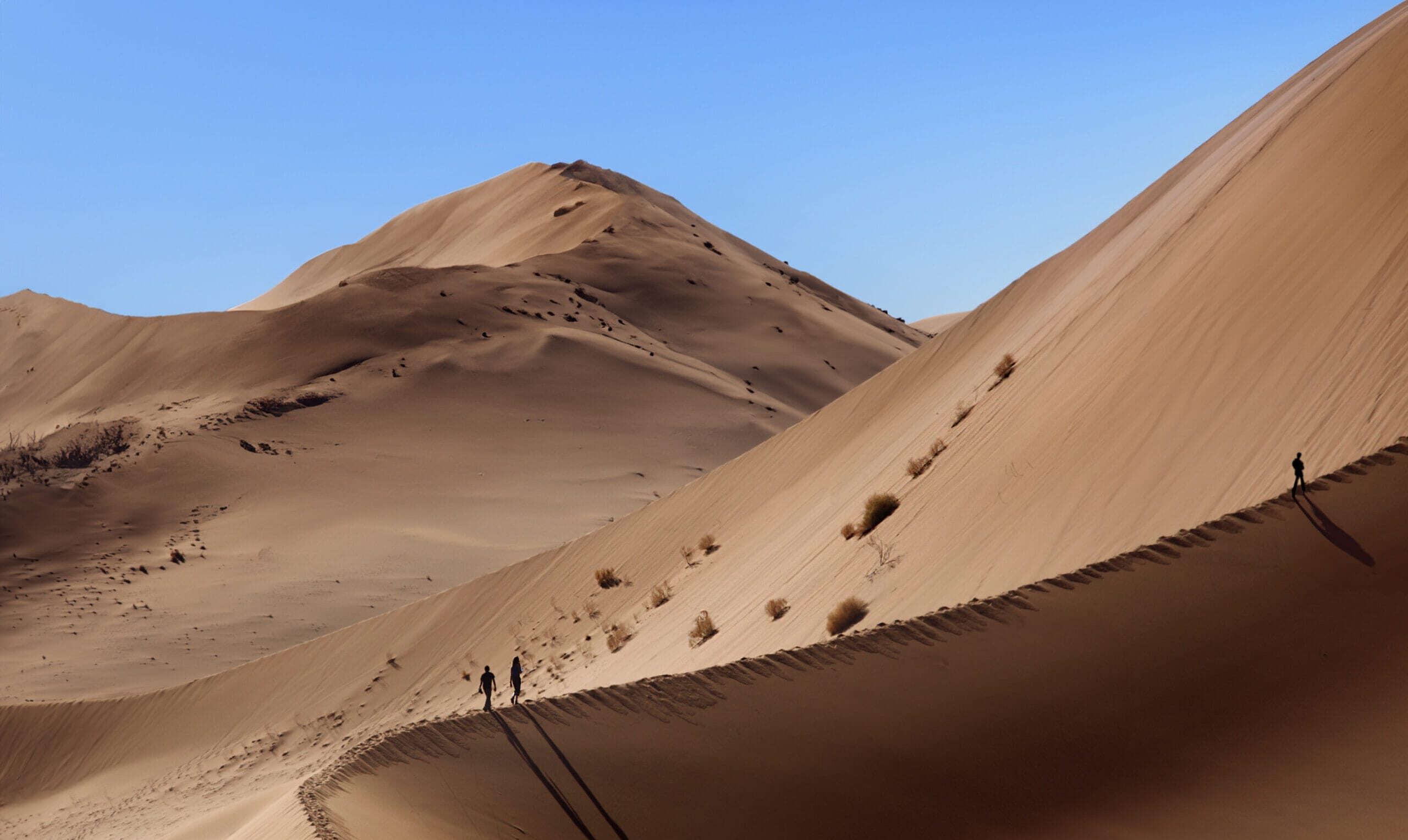 Dune walking in the Namib Desert, Sossusvlei, Namibia