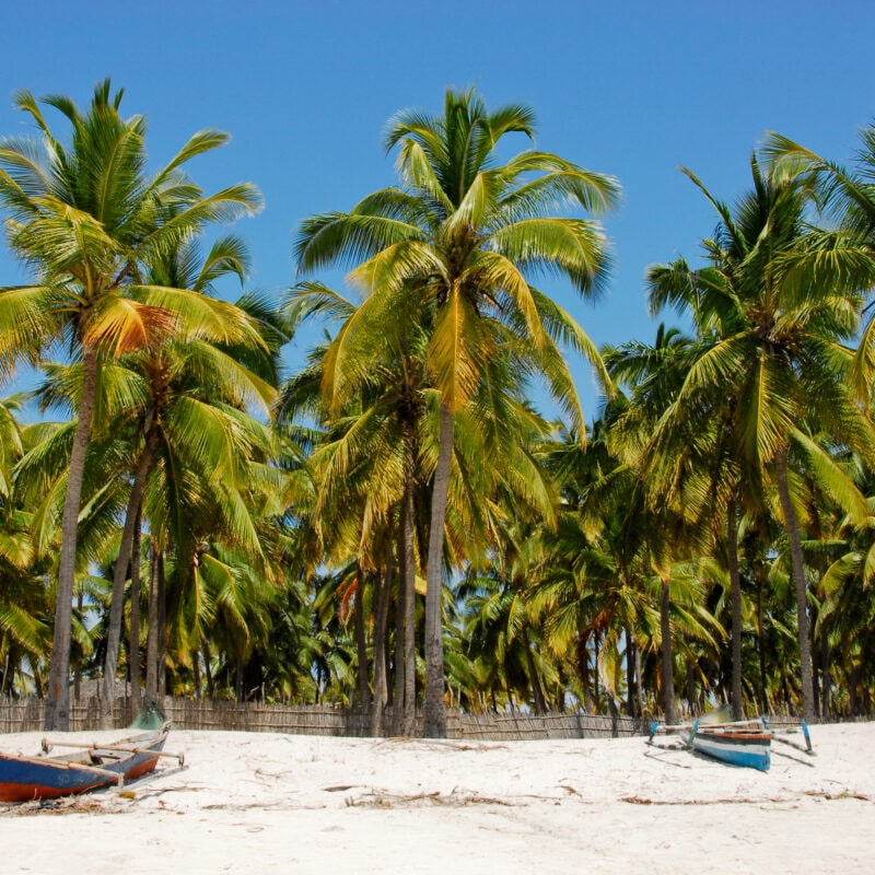 Palm trees and two small fishing boats on Mozambique beach