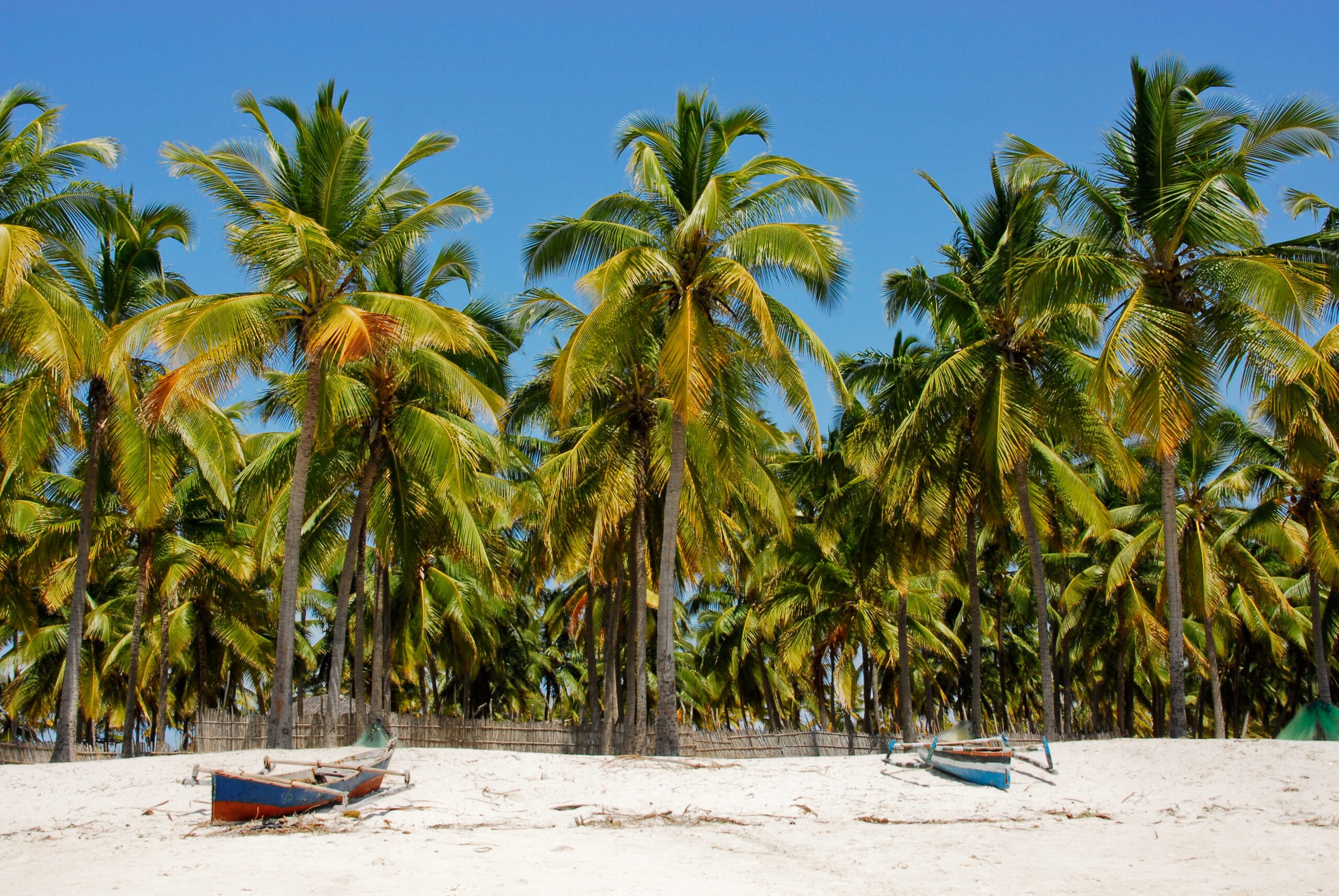 Palm trees and two small fishing boats on Mozambique beach