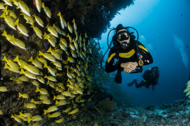 Scuba diving Mozambique