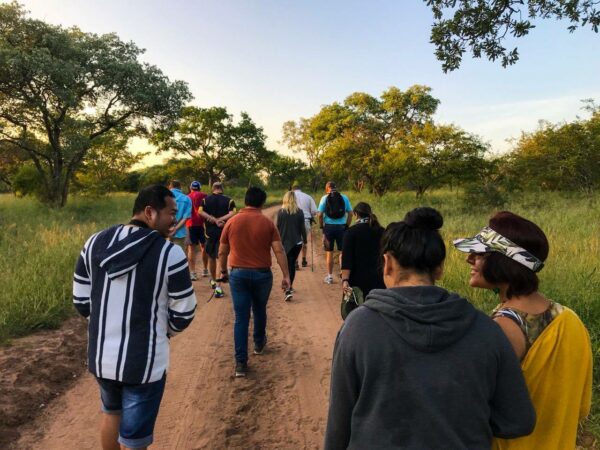 Bush walk in Kruger with group