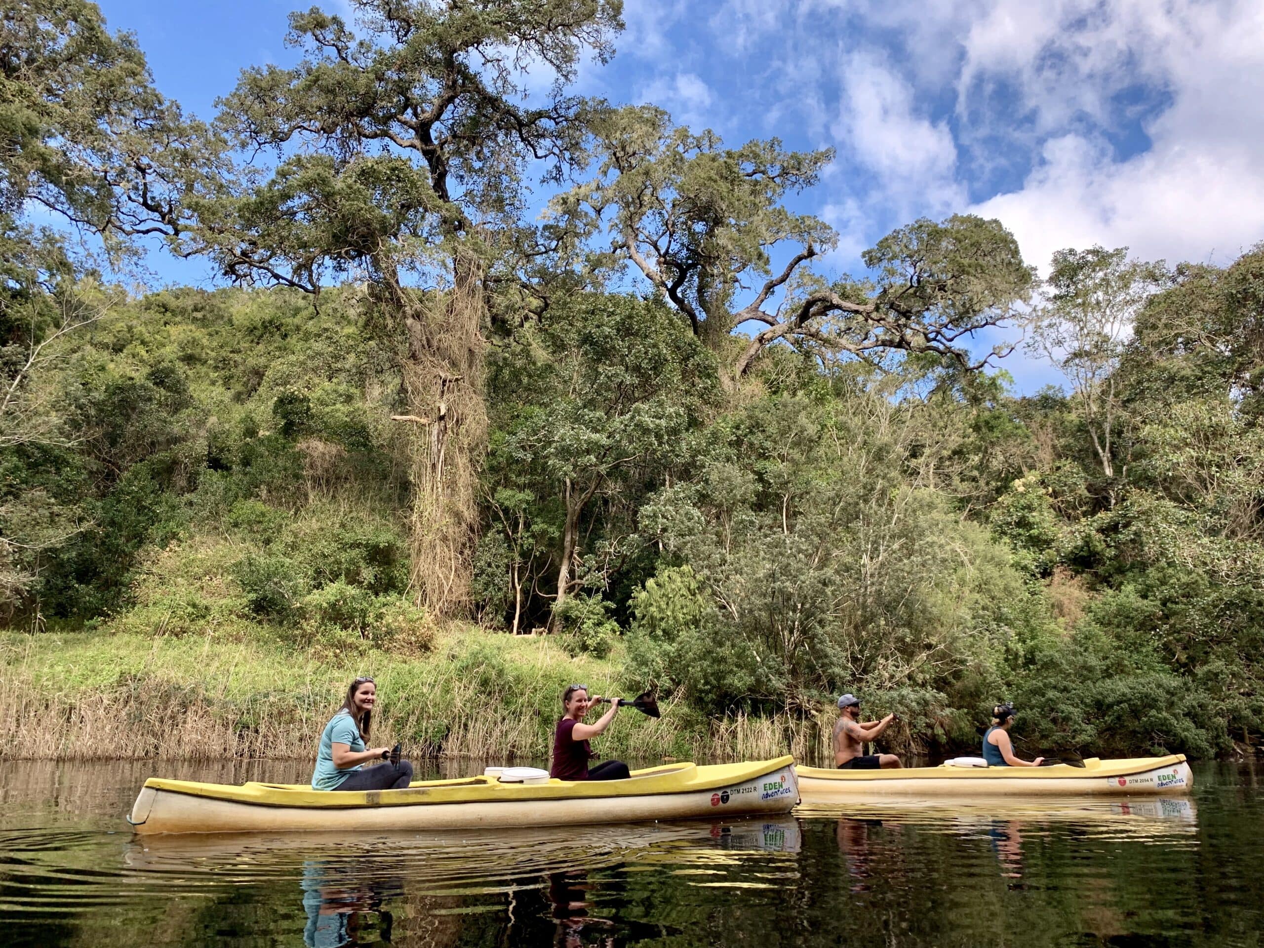 Travelers canoeing along Garden Route ebb and flow