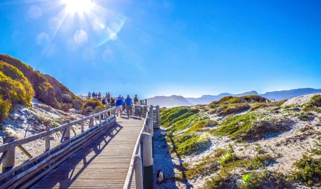 Boulders Beach walkway in blue skies and travelers group