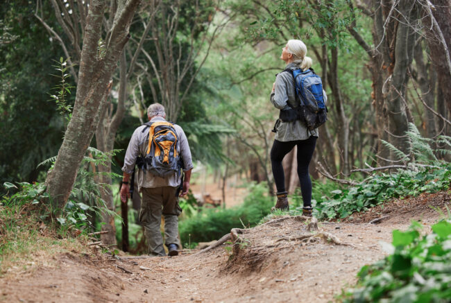 A rear view of couple out for a hike together in wilderness