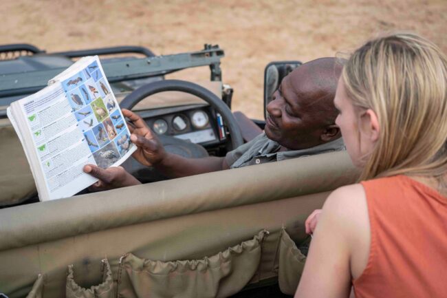 Safari guide explaining about vultures to guest