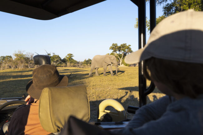 Passengers in a safari jeep observing a large elephant walking near the vehicle.