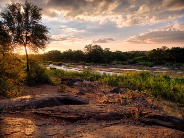 Quality HD photo of river taken from riverbank