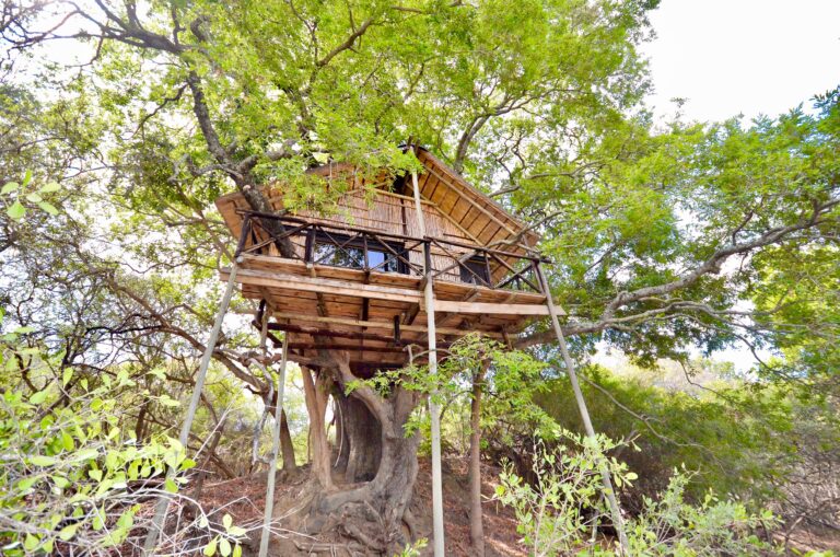 marcs-camp-treehouse-exterior