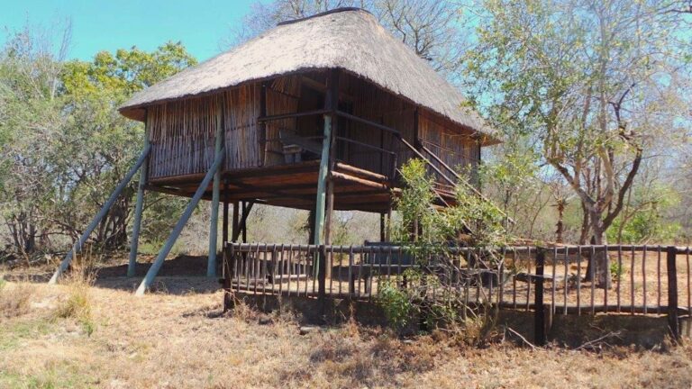 Treehouse Exterior 4