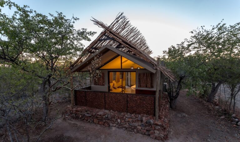 Twin-room-Etosha Village