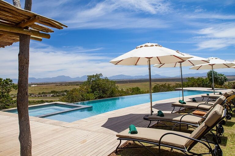 garden-route-game-lodge-pool2