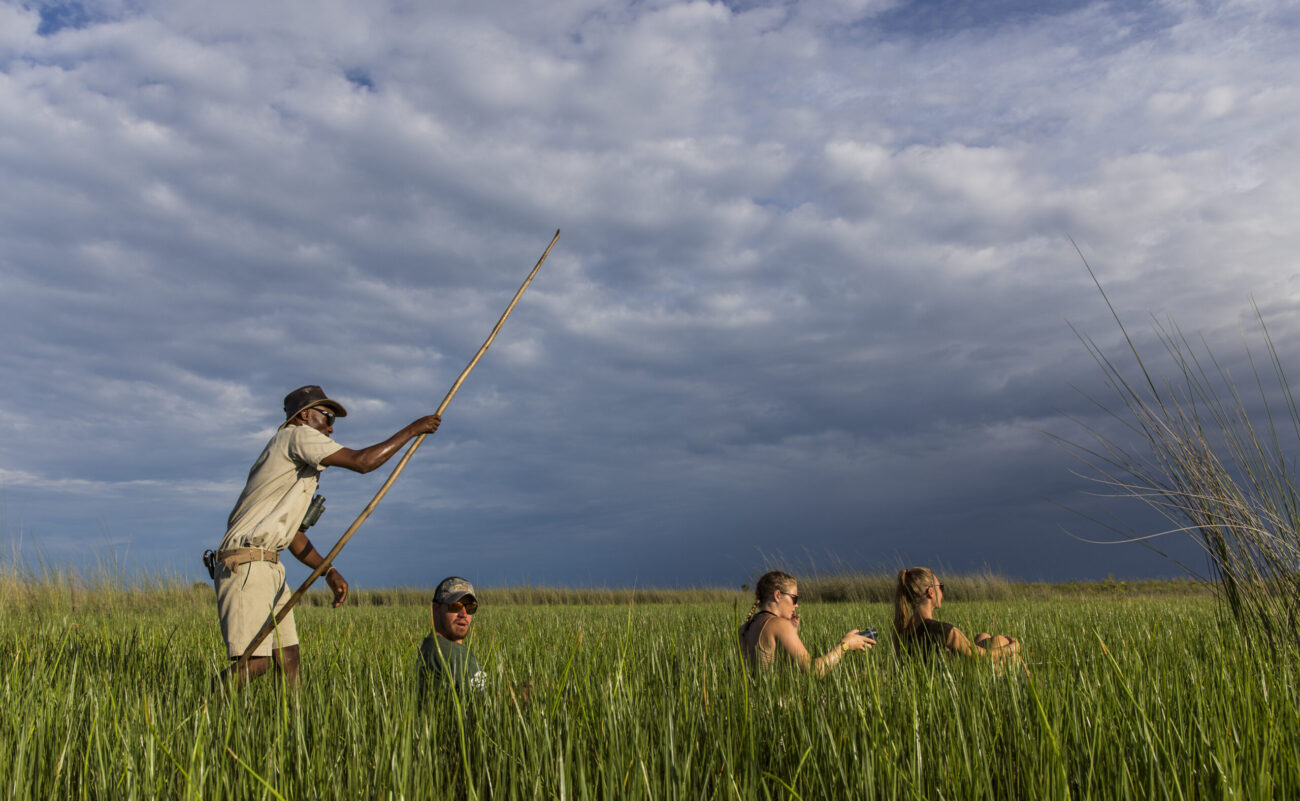 Local Botswana poler takes guests on a mokoro through Okavango Delta lush green waterways.