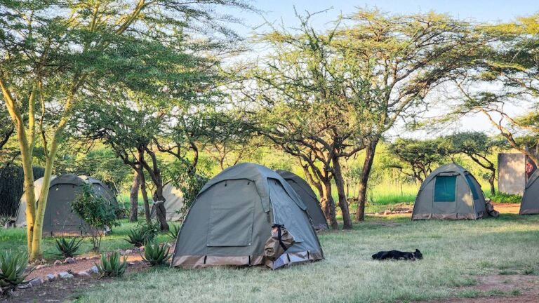 overland-tents-campground