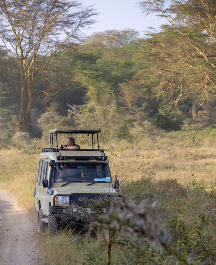 tourist-photographing-on-game-drive