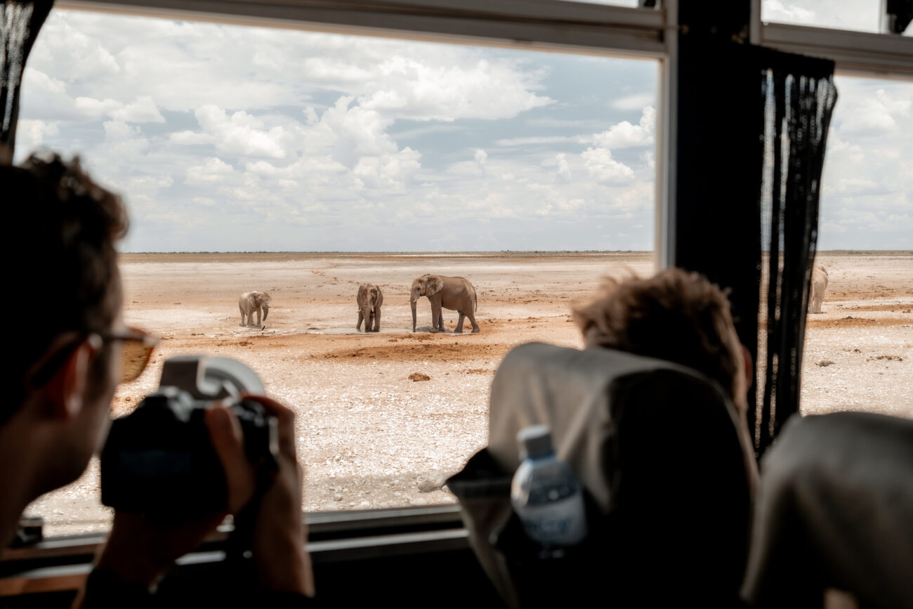 etosha-truck-game-drive-nomad