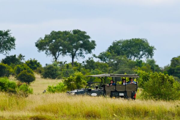 people-on-safari-drive