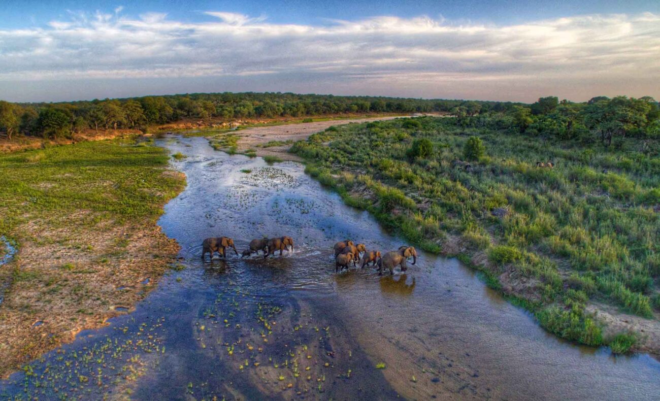 sun-destinations-umkumbe-elephants