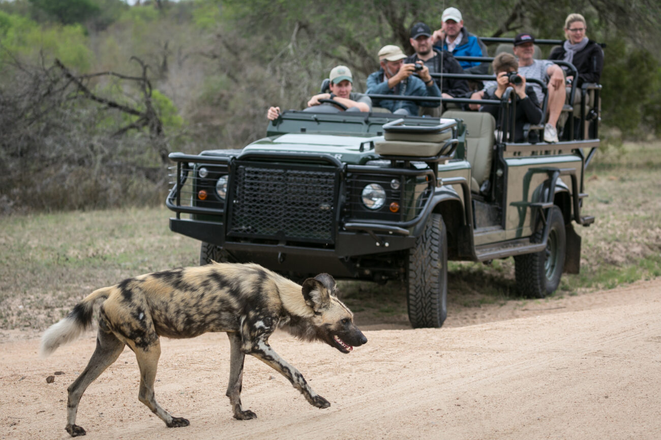 sun-destinations-umkumbe-wildlife