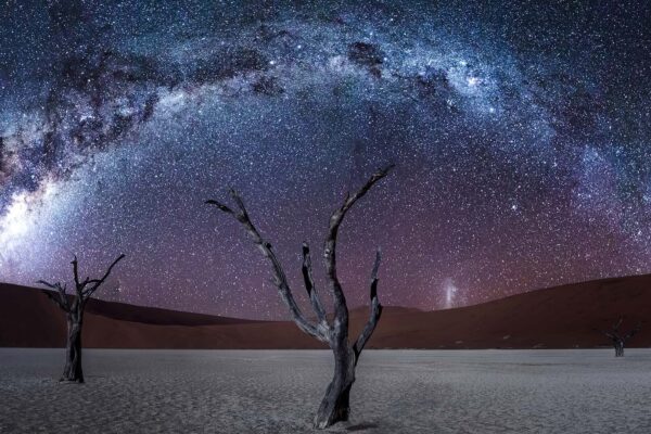 dune-star-night-sky-gondwana