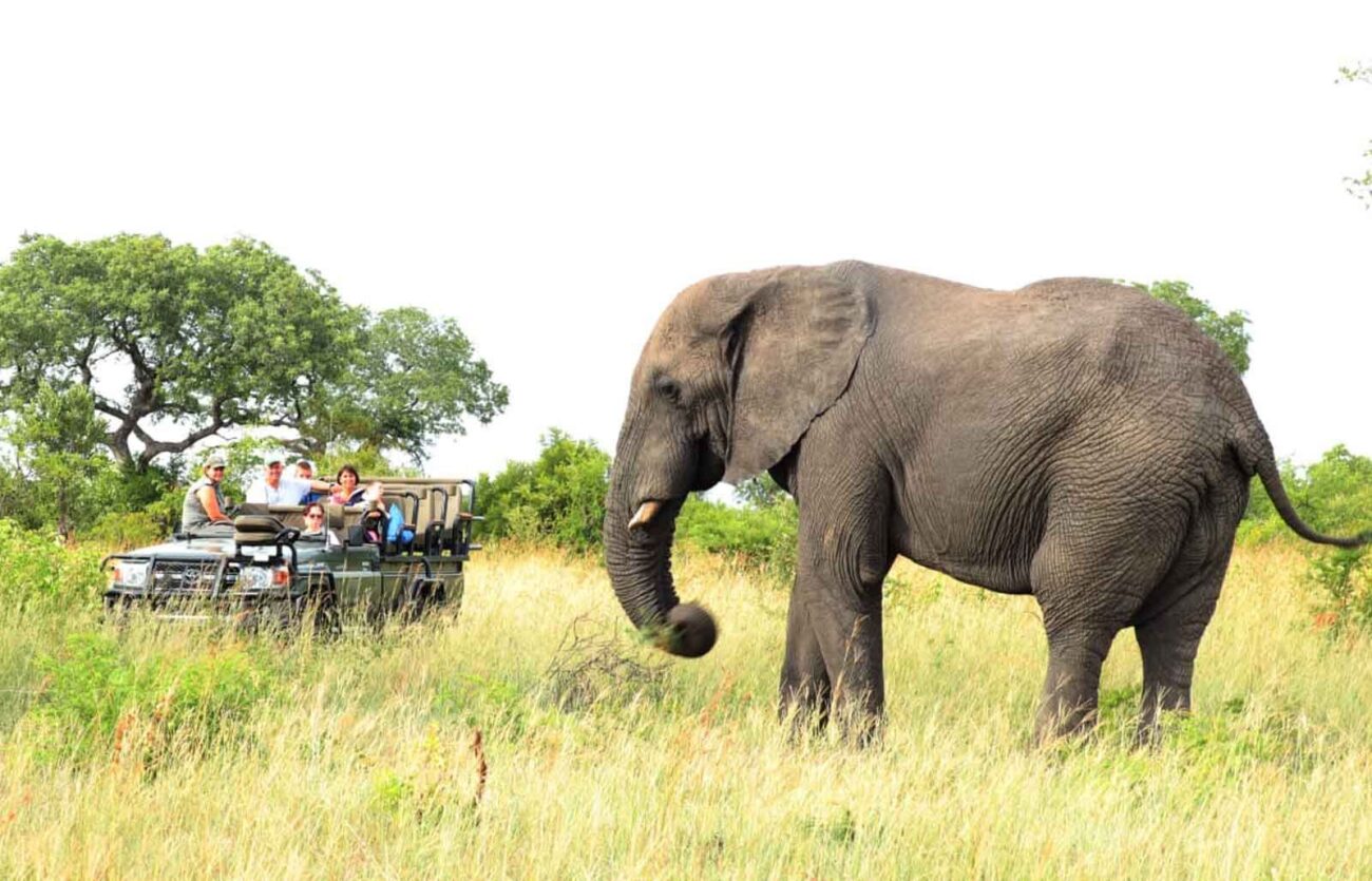 elephant-sighting-umkumbe