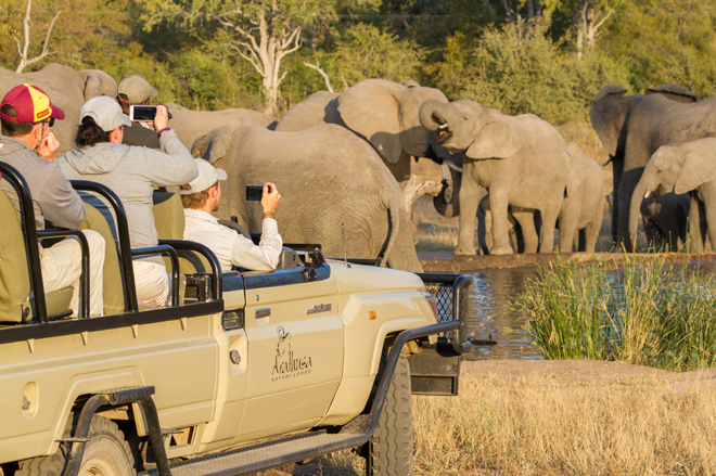 people-spot-elephants-on-game-drive-arathusa