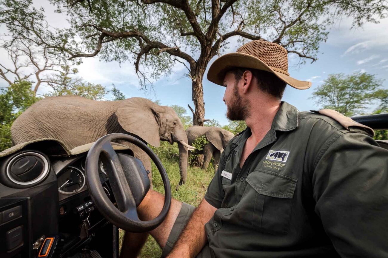 tour-guide-spotting-elephant-umkumbe