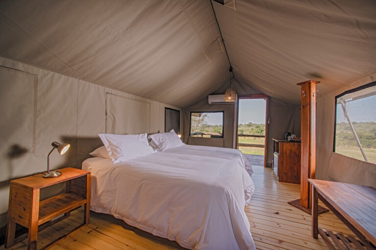 Two beds in permanent tent in Kruger