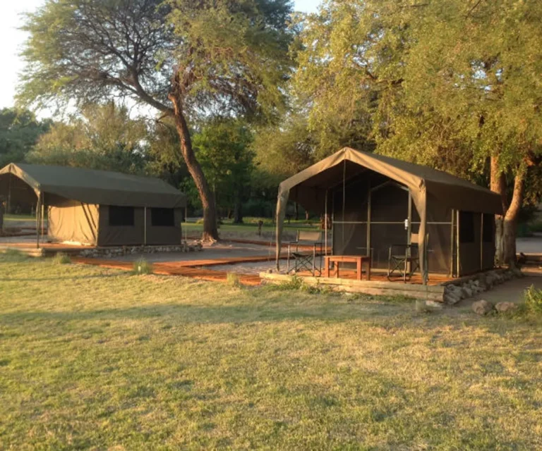 permanent-tent-maun-lodge