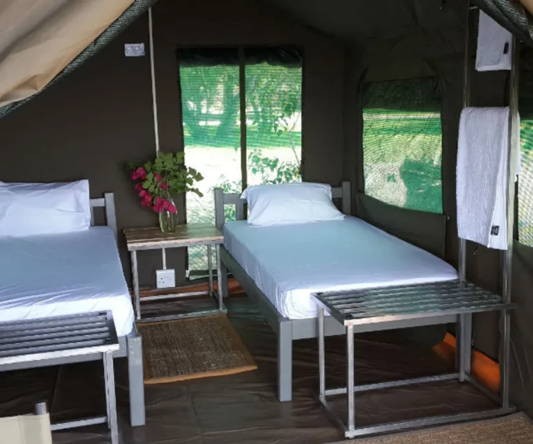 permanent-tent-maun-lodge-inside