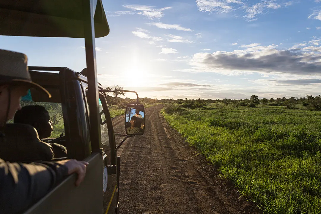 Side of safari vehicle driving along dit road with blue sky and green grass landscape.