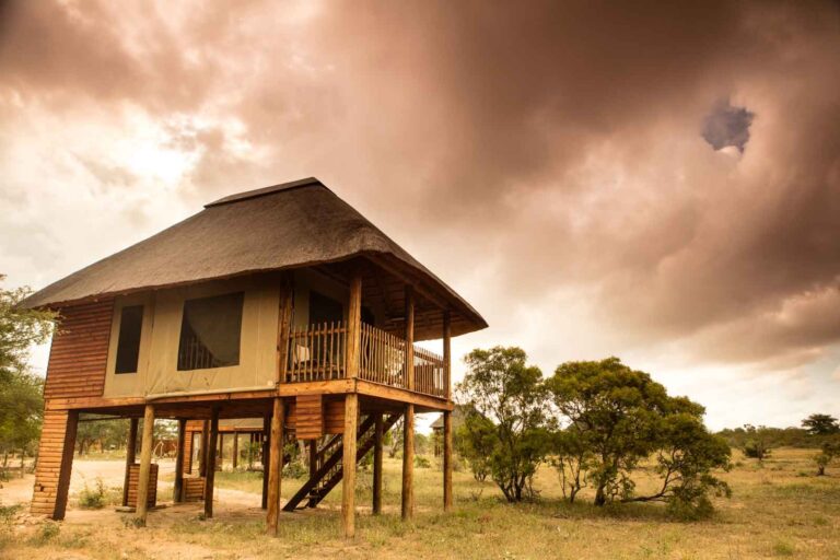 Thatched wooden chalet standing on stilts in the Kruger bushveld.