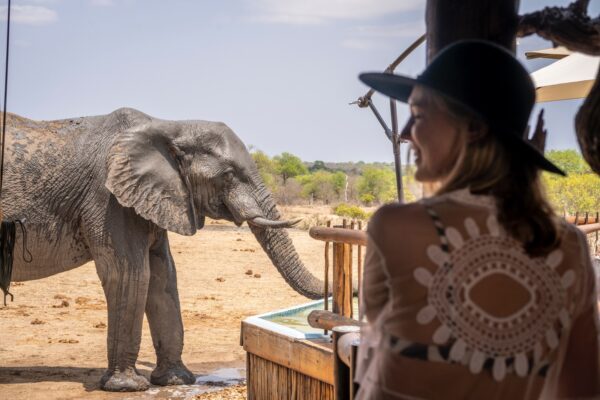 Young female laughs as elephant drinks from lodge pool in Kruger.