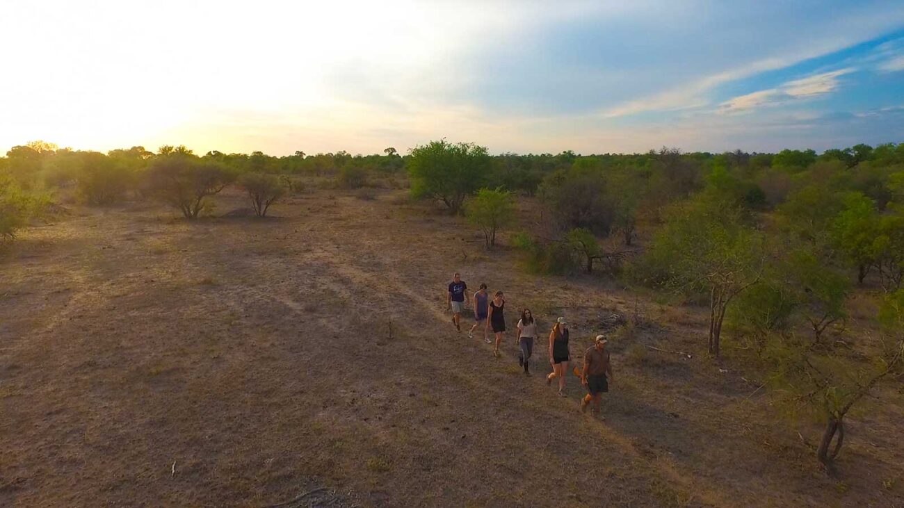 Group of people walking in a line through the bushveld in Kruger.