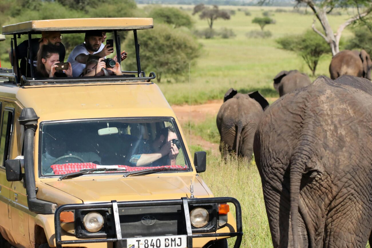 group-photograph-elephant-in-serengeti